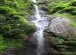 chadwik waterfalls shimla hptours.org