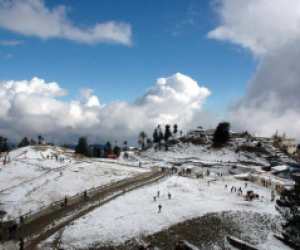 Kufri, Shimla,  Himachal Pradesh
